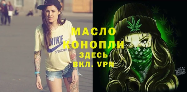 дживик Новодвинск