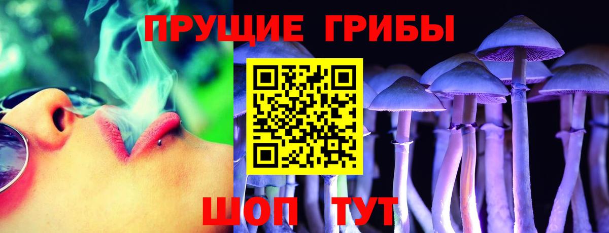 Псилоцибиновые грибы GOLDEN TEACHER Балаково